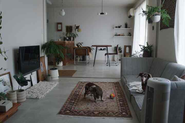 ナチュラルな色調のリビングとホームオフィス、犬と暮らすモダンで居心地の良いインテリア