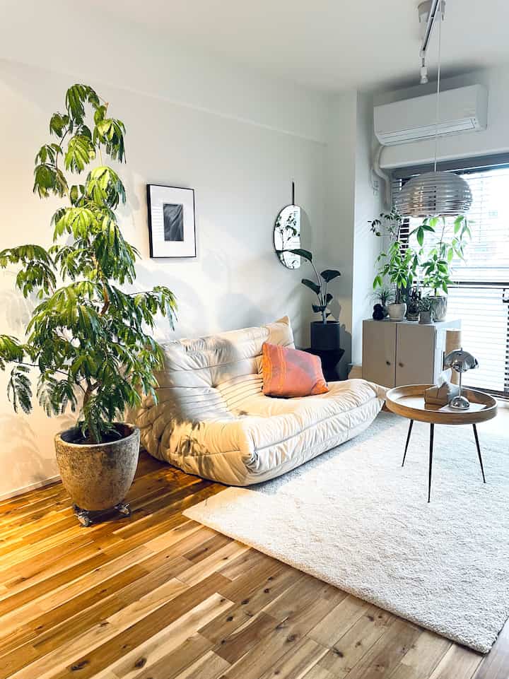 Natural style living room with white and wood tones, featuring a sofa, rug, and plants creating a cozy atmosphere