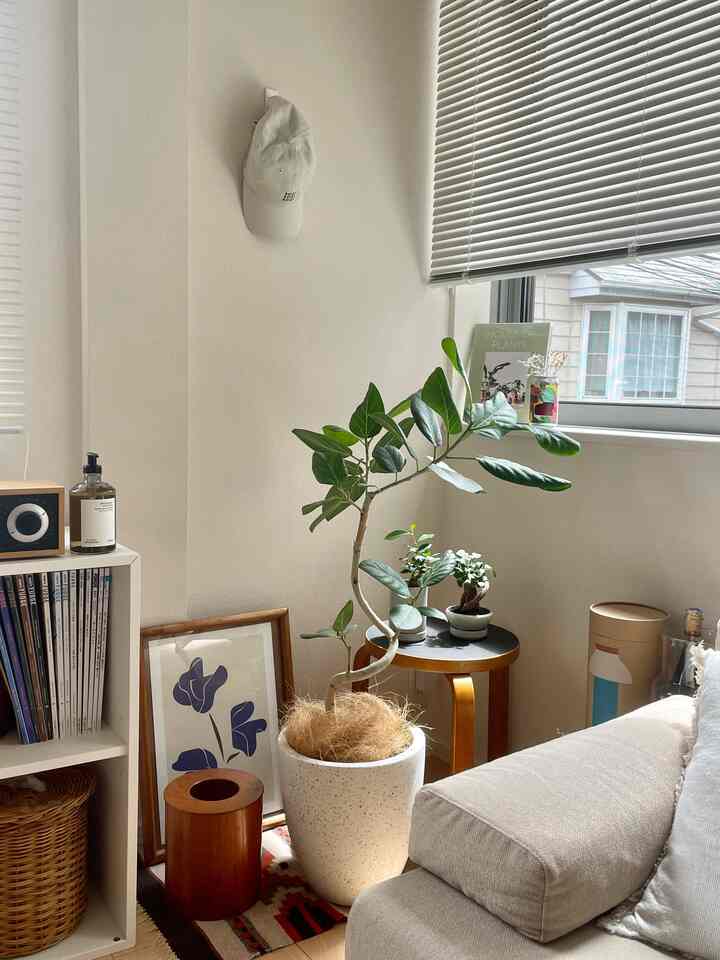 グリーンがあるだけで印象変わりますよね😌 

#グリーン #観葉植物 #今日からOhouse
