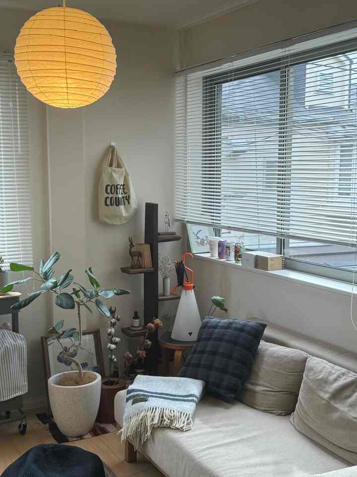 曇りの日は照明で楽しみます😌

#Akari #45D #リビング