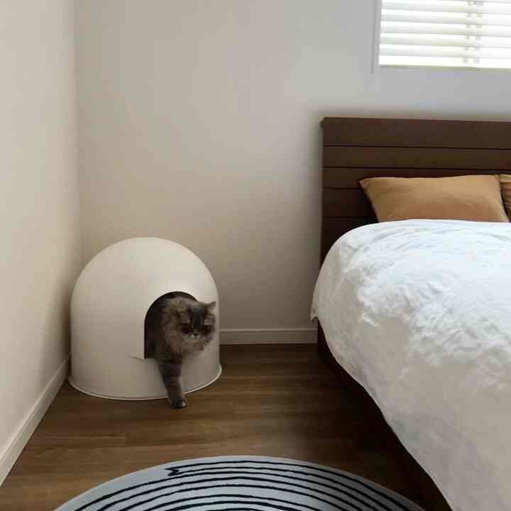 ホワイトとブラウンの色調の寝室、木目調のベッドフレームと白いドーム型の猫トイレが配置された落ち着いた空間
