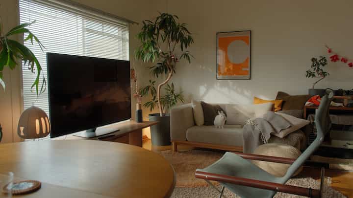 ソファにうさぎ。
気づけばだいたいあそこに座ってます。

#リビング
#インテリア
#ふたり暮らし
#うさぎ
#イケア
#ソファのある暮らし
#賃貸インテリア