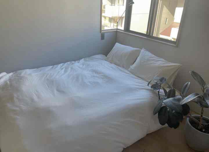 The new mattress for the new year is very comfortable.
Refresh your sheets and covers for a good night's sleep◎
Green is also essential 🌿

#Nellmat #nellmat #寝室
#Double size #観葉植物 #ゴム
#dafinelamp #LUMINA