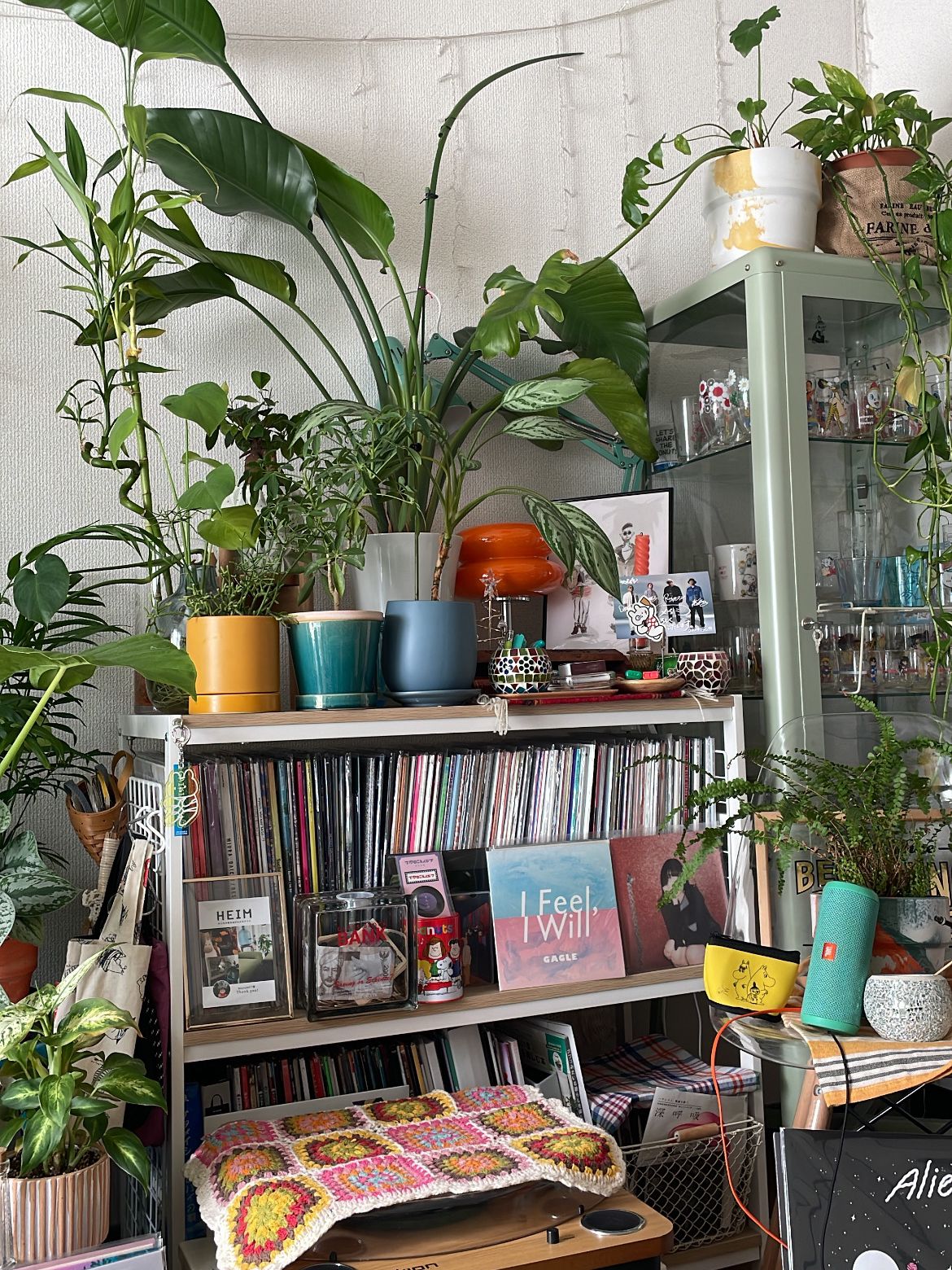 IKEA FABRIKÖR ファブリコール コレクションケース［2色］ | 棚