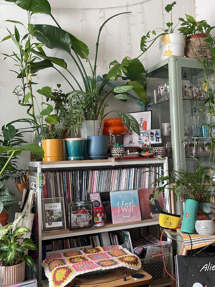 #暮らしを楽しむ
#観葉植物のある暮らし
#グリーンのある暮らし
#レコードのある暮らし
#カラフルインテリア
#interior
#賃貸暮らし

#一人暮らし
#築古賃貸