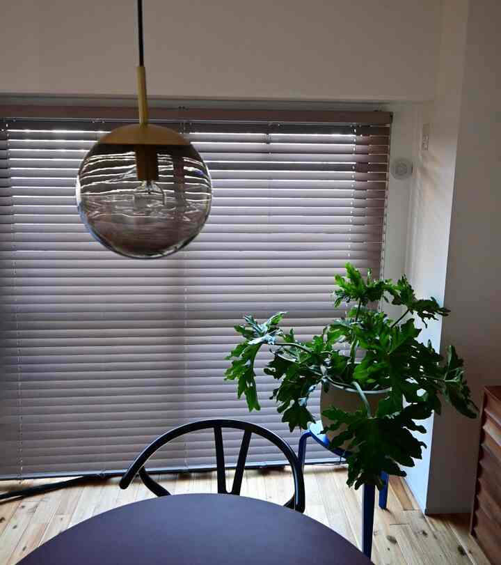 落ち着いた茶色の木目調が印象的なモダンダイニング、窓辺に置かれた緑の植物が配置された自然な雰囲気のインテリア