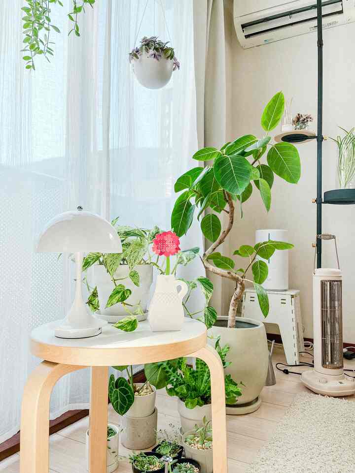 Natural white and green toned living room featuring a wooden stool table lamp and various plants, creating a cozy space