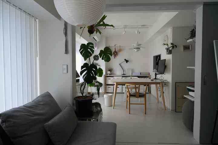 White-toned living room and home office space featuring simple modern furniture and indoor plants with a clean atmosphere