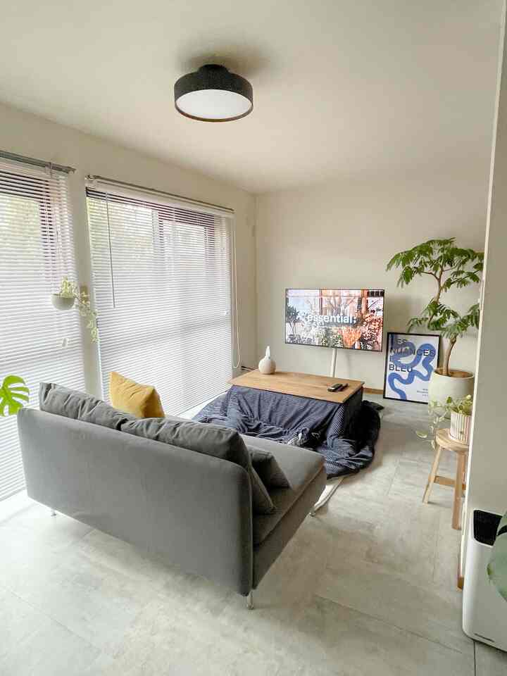 明るくナチュラルな色調のリビング、グレーのソファと木製のコーヒーテーブル、観葉植物が配置されたシンプルで落ち着いた空間