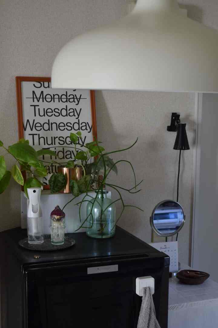 Kitchen space with white lighting fixture and black refrigerator topped with plants and a mirror