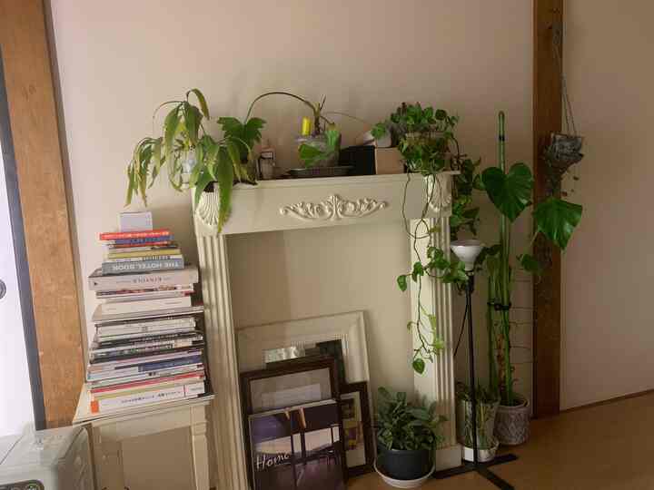 ベージュの壁と白いマントルピースがあるリビング、積み重ねられた本と様々な植物が配置された雰囲気のある空間