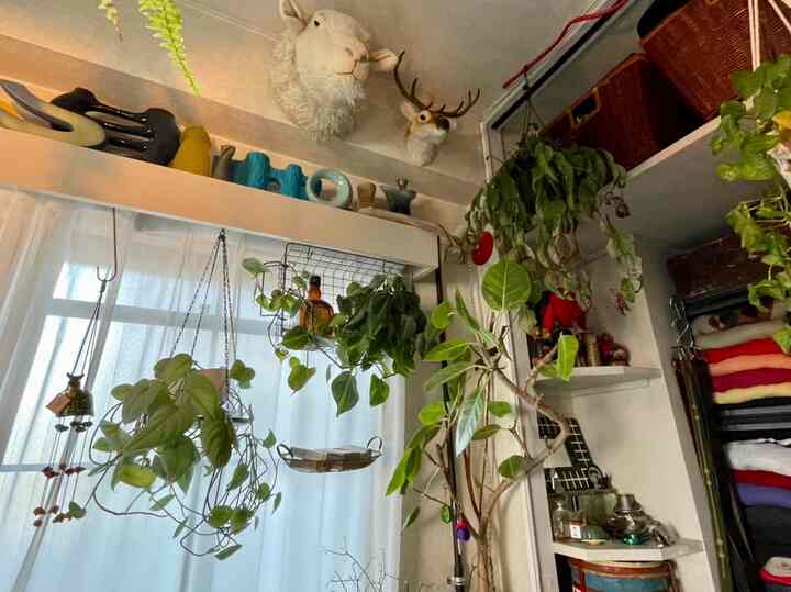 ナチュラルトーンのロフト空間、豊富な観葉植物と昭和レトロ風の動物ヘッド飾り、ヴィンテージの花瓶が印象的なインテリア
