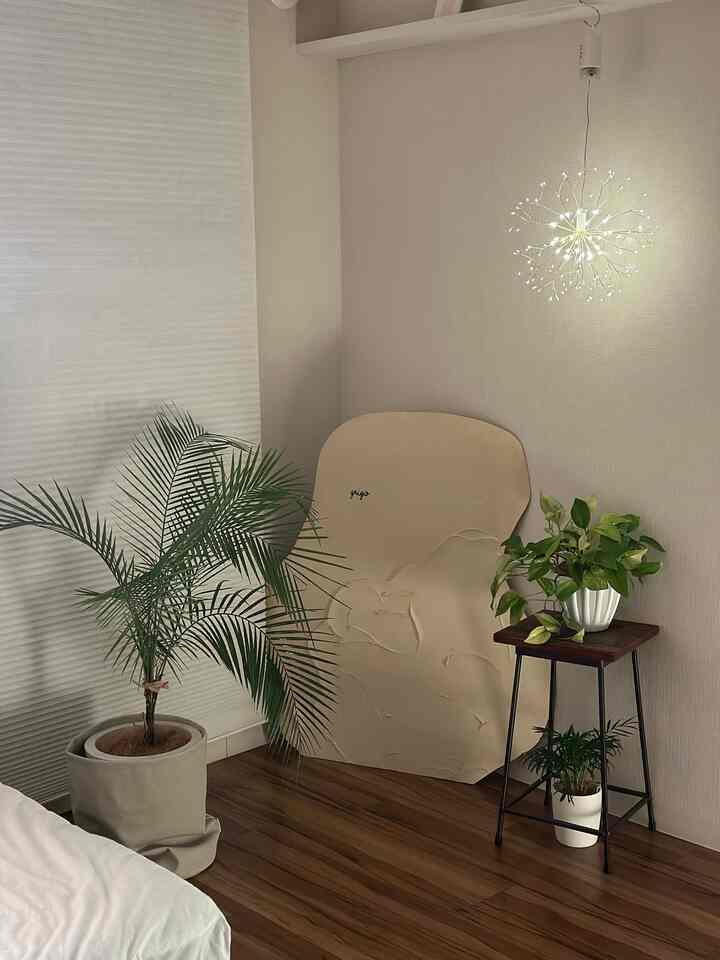 我が家の植物🌿

ヒメココス(ヤシ
ポトステルノハナハナ
テーブルヤシ
フィオデンドロン
スキンダプサス

大きくなぁれ！

#観葉植物
#hitohana #無印良品 #gardennagoya