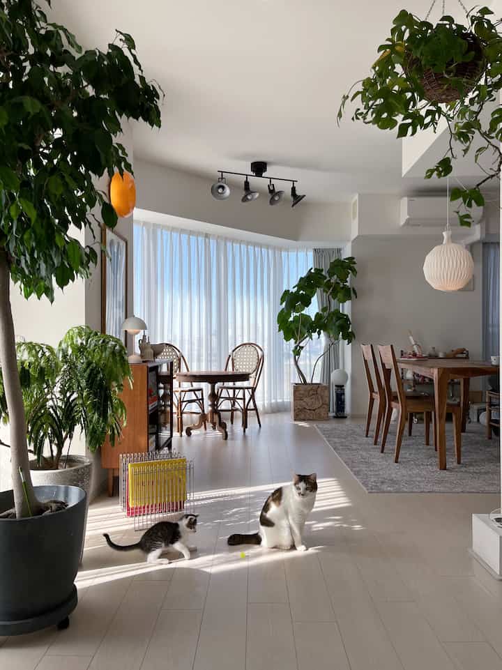 Bright white and wood-toned Nordic dining room featuring plants and two cats, creating a natural cozy atmosphere
