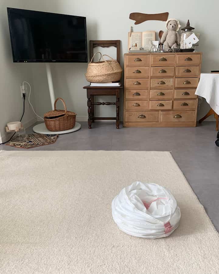 IKEAで猫トンネル買いました。
シンプルなカラーでコンパクトになるしコスパも良くて良き◎

#猫グッズ #猫アイテム #猫トンネル #猫のおもちゃ #猫 #猫部 #猫好き #ペット用品 #ペットグッズ #IKEA購入品 #IKEAグッズ