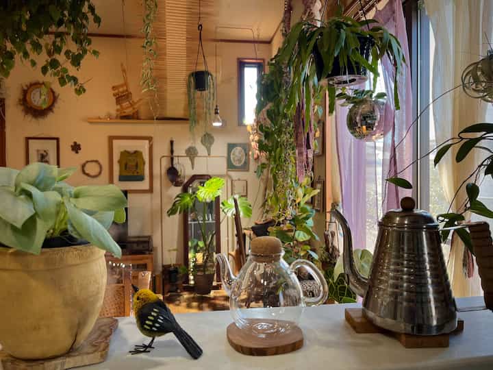 キッチンカウンターの上はティータイムに使う道具とこちらにも植物を🪴
たわしアニマルの小鳥がお気に入り☺︎

#キッチン
#ドリップポット
#ティーポット
#インドアグリーン