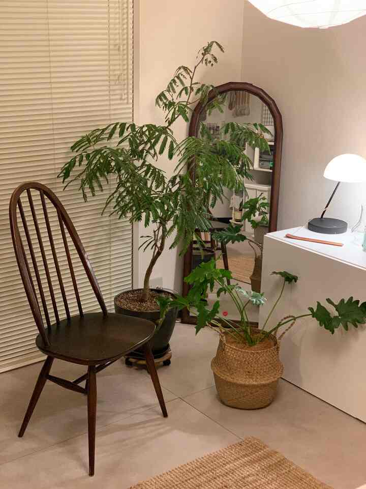 ナチュラルな色調とブラウン家具が調和するリビング、明るいホワイトの壁と照明が雰囲気を作る。