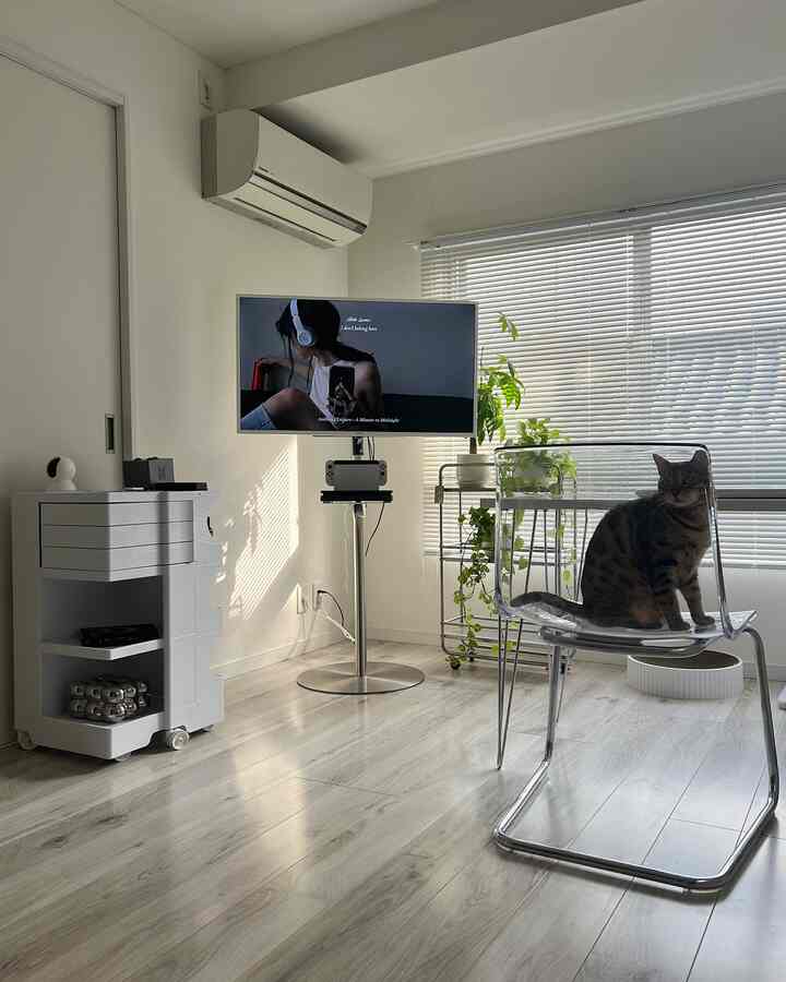 白とグレーの色調のコンパクトなリビング、透明の椅子に猫が座り、テレビスタンドとブラインドが配置された印象的な空間