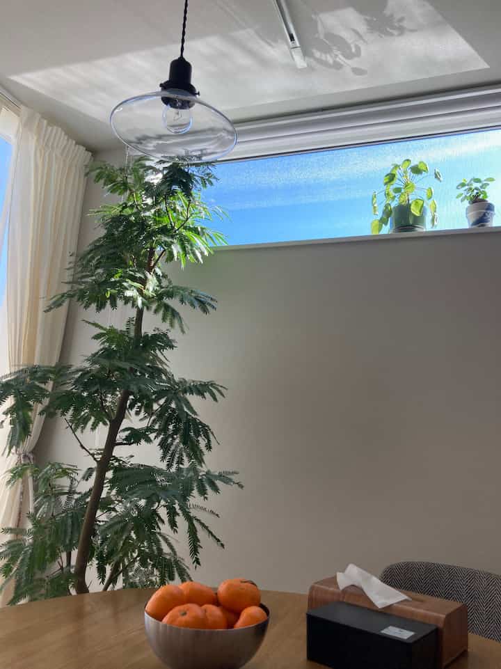 ここから見える青空と
植物達が好きだ🪴♡

#ダイニング #ダイニングテーブル #円テーブル #ペンダントライト #観葉植物　