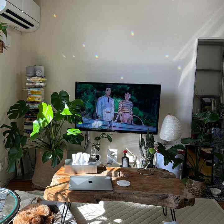 Natural-toned living room featuring a wooden coffee table and monstera plants with a cozy atmosphere