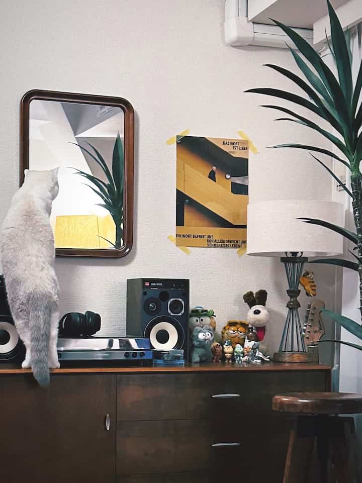 A natural-toned living space featuring vintage furniture, table lamp, mirror, plant, and a cat, creating a cozy atmosphere