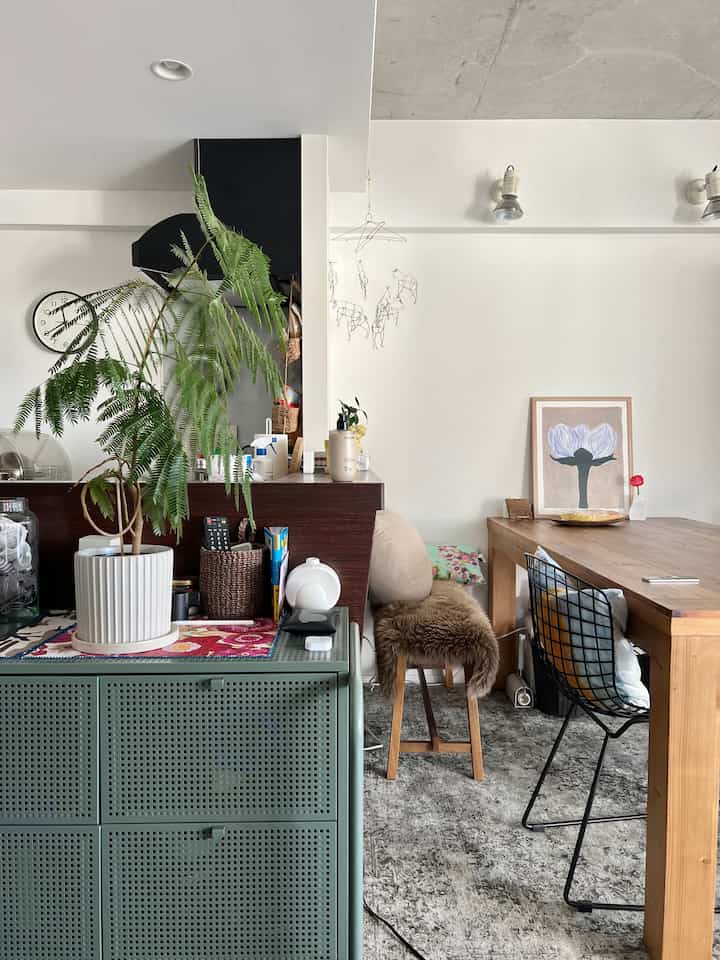 Natural tone small single household dining room with white walls, wood-tone dining table, and green plant accents