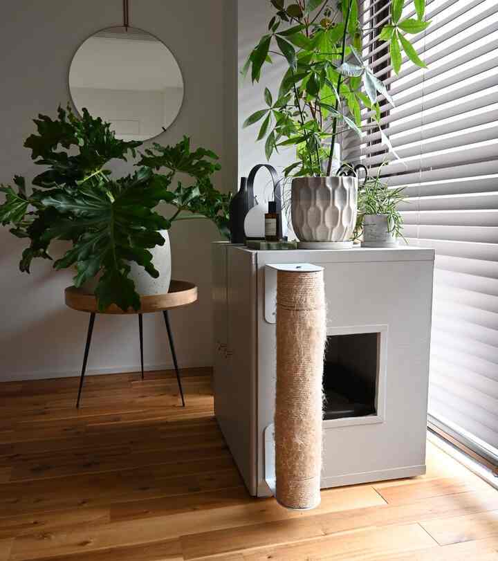 Natural space with DIY white storage litter box and scratching post, wood tone floor, and various green plants