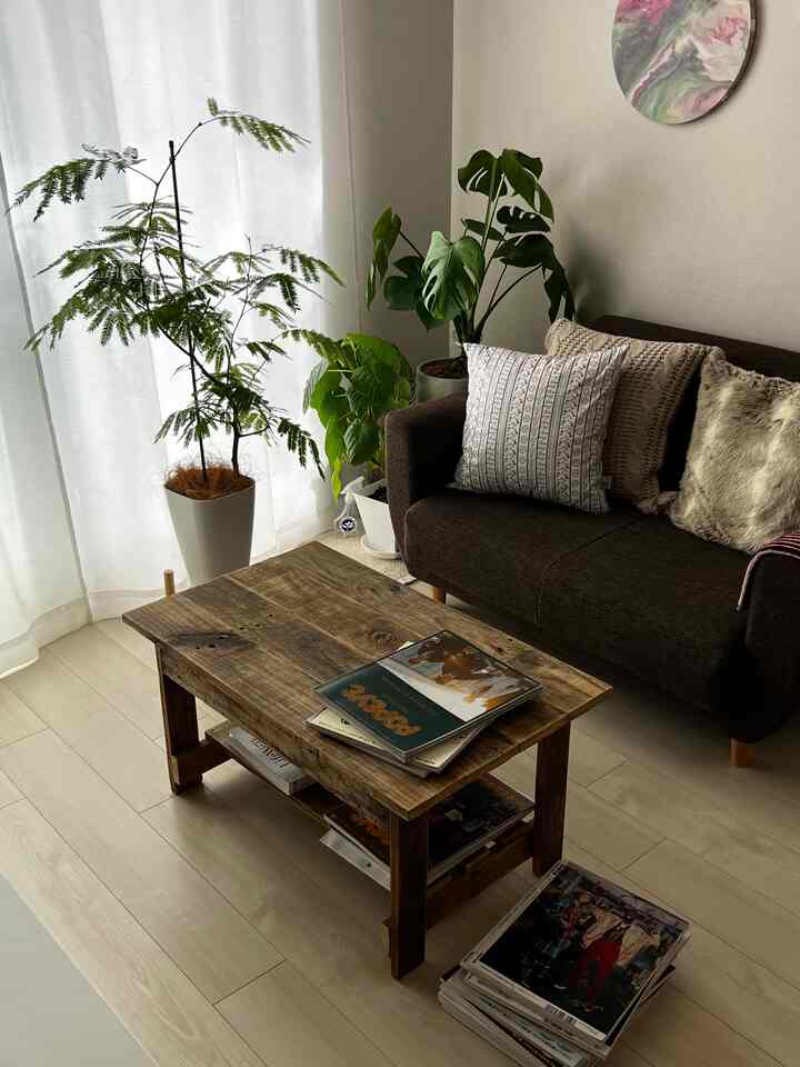 Natural wood tones and plants in a compact living room featuring a cozy sofa and coffee table