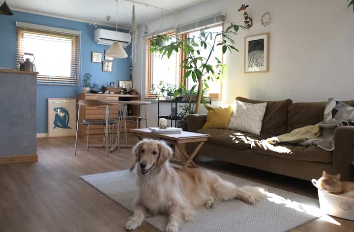 Natural toned living room with brown sofa and blue accent wall, featuring a golden retriever dog and orange cat creating a cozy atmosphere