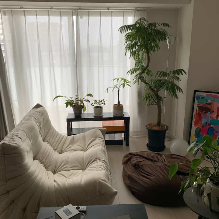 Bright beige sofa and brown bean bag with various plants in a bright natural living room space