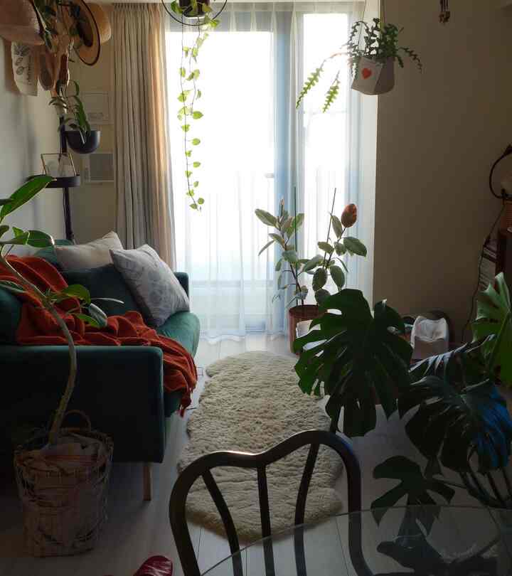 うちはウッドテイストのものが多いけど、ほっこりしすぎないものが好み。

#puebco #プエブコ #グリーンソファ #観葉植物 #バスケット #ハンギンググリーン #観葉植物のある暮らし #リビングインテリア #ファーラグ