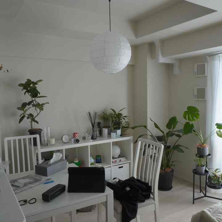 散らかり放題の朝☀️
#IKEA #北欧インテリア #観葉植物 #白インテリア