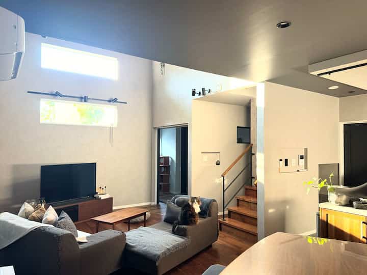 明るい自然な色調のリビング、グレーのコーナーソファと木目調の家具が配置された、猫と暮らす空間