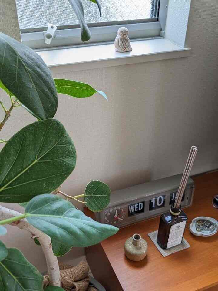 ベンガレンシスにチークのテレビボードがよく似合います🌿

#観葉植物 #ベンガレンシス #パタパタ時計 #TWEMCO #アポテーケ #apotheke #チーク家具 #チーク #テレビボード #サイドボード