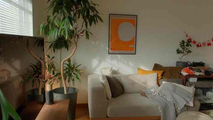 A cozy living room in warm beige and green tones featuring a sofa with a small white rabbit and blanket