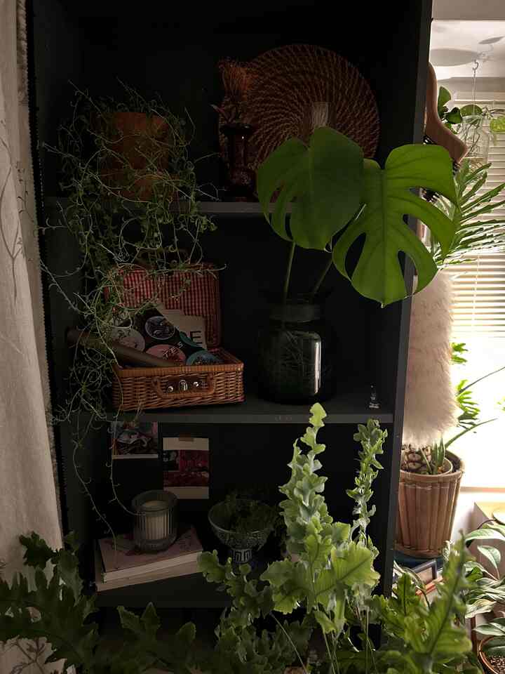 room_akinaさんのインテリア実例写真