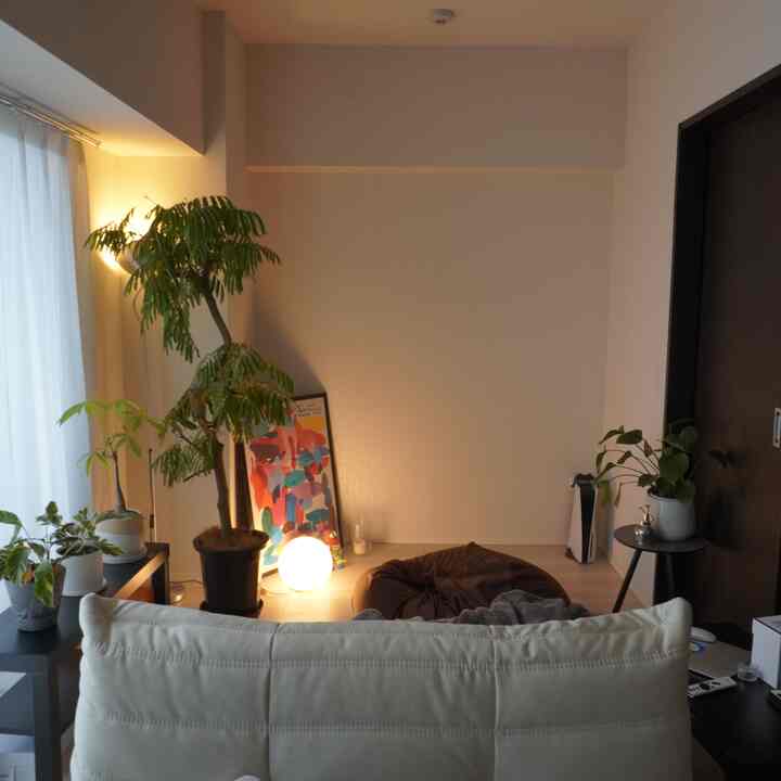 アイボリーのソファとエバーフレッシュの植物が配置された、暖かい間接照明のあるリビング