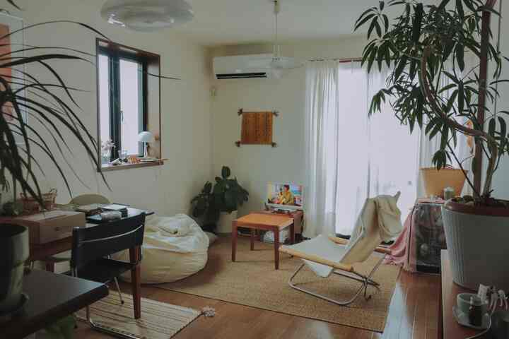 明るいベージュ調のリビング、窓際にビーンバッグソファと木製コーヒーテーブル、複数の植物が配置された自然で居心地の良い空間