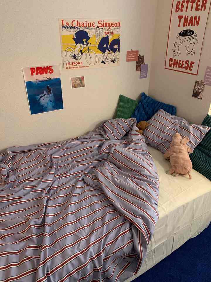 青と赤のストライプ掛け布団カバーの寝室、ポスターで飾られた壁とクッションが配置された雰囲気のあるインテリア