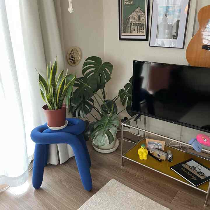 Kursi tebal adalah aksen warna🟦

#Hidup sendiri #Hidup sendiri #Hidup sendiri #Interior hidup sendiri #Interior Korea #Nordik #Korea #Abad Pertengahan #Interior modern #8 tatami #8 tatami 1k #8 interior tatami
