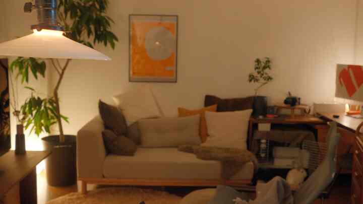 ベージュの落ち着いた色調の1LDKリビング、ソファや植物、フロアランプが配置された自然の雰囲気のある空間。