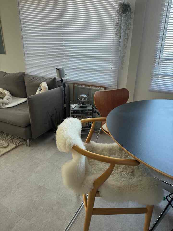 白と木目調のトーンが調和した1LDKの空間、シンプルなダイニングとリビングが配置された落ち着いたインテリア