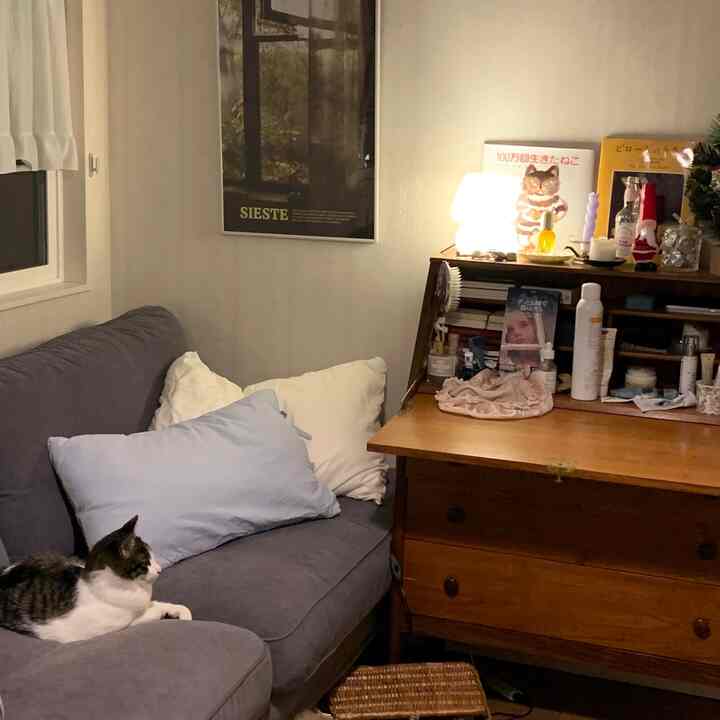 Natural toned living room featuring a gray sofa, wooden desk, and a cat comfortably resting on the sofa