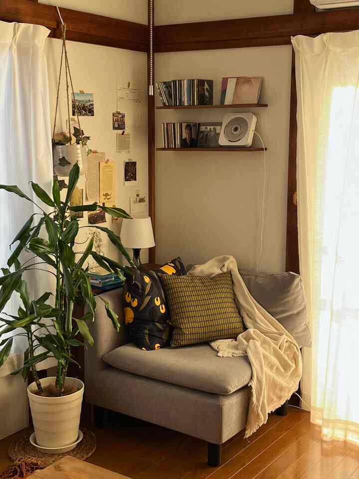 Beige and gray toned small living room featuring a sofa and plant with a cozy natural interior atmosphere