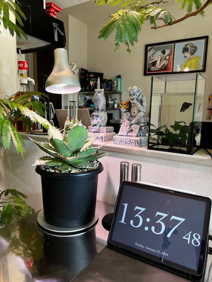 シルバーの照明と植物が置かれたキッチンの眺め、額縁と装飾品がアクセントの温かみのあるインテリア