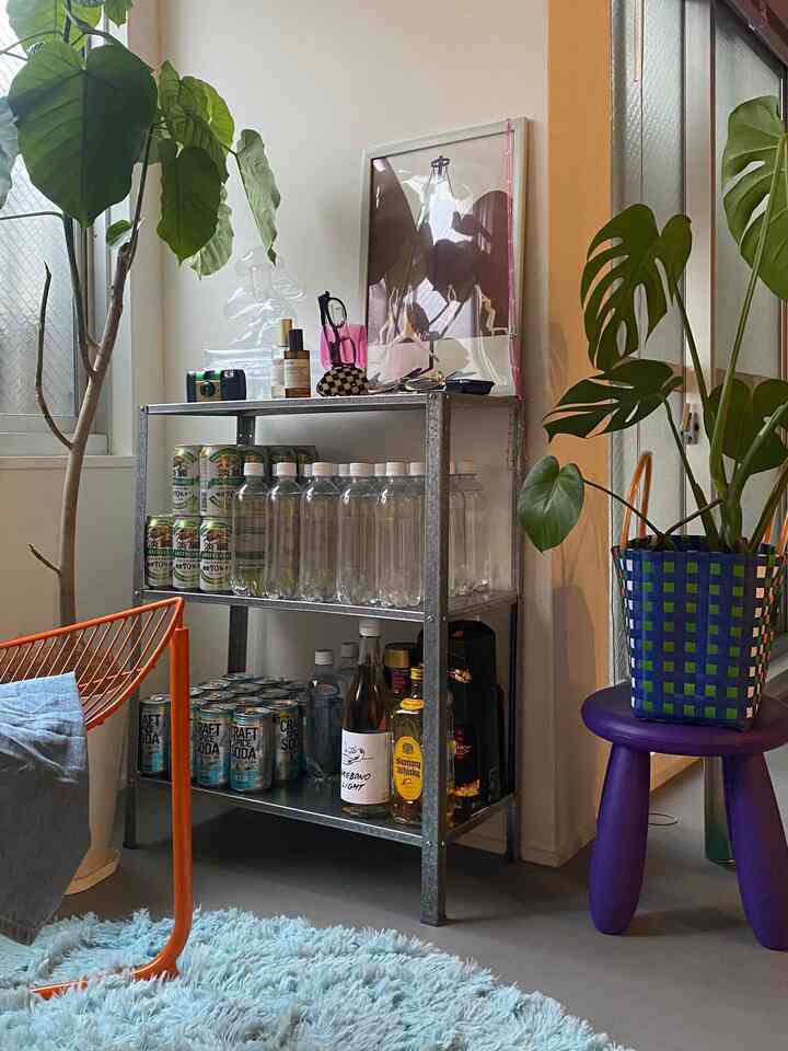 #IKEA #楽天 #MoMA #観葉植物 #ウンベラータ #モンステラ #お酒好きの部屋