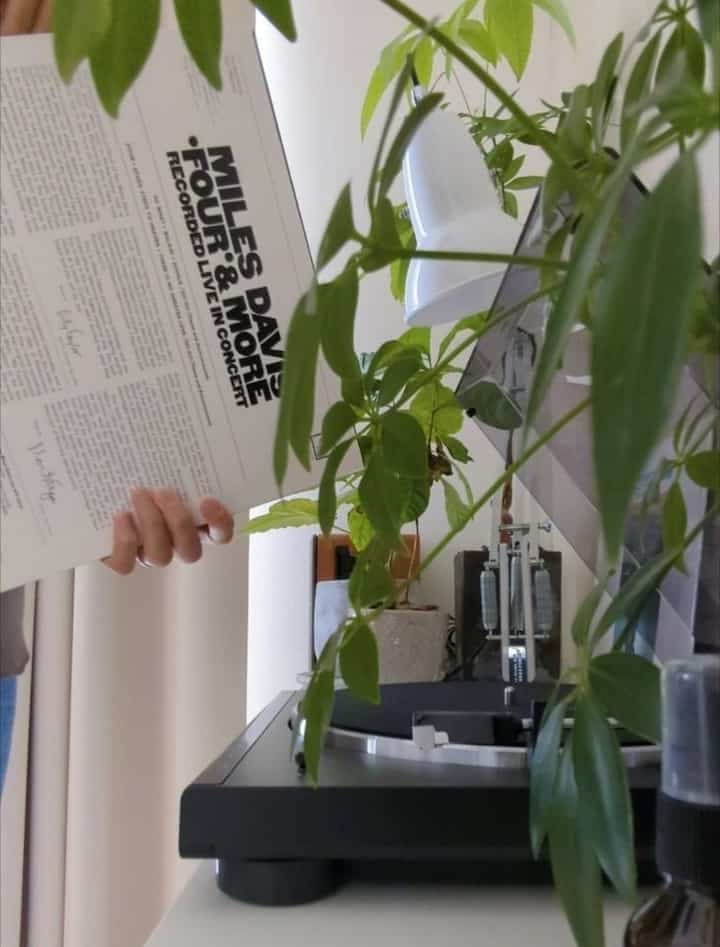 レコードをかけて、コーヒー豆を挽く。
朝日が射す部屋でのモーニングルーティン☀

#観葉植物 #観葉植物のある暮らし #パキラ #コーヒーの木 #アングルポイズ #アポテーケ  #チーク家具 #チーク #レコード #レコードのある暮らし #apoteke #anglepoise