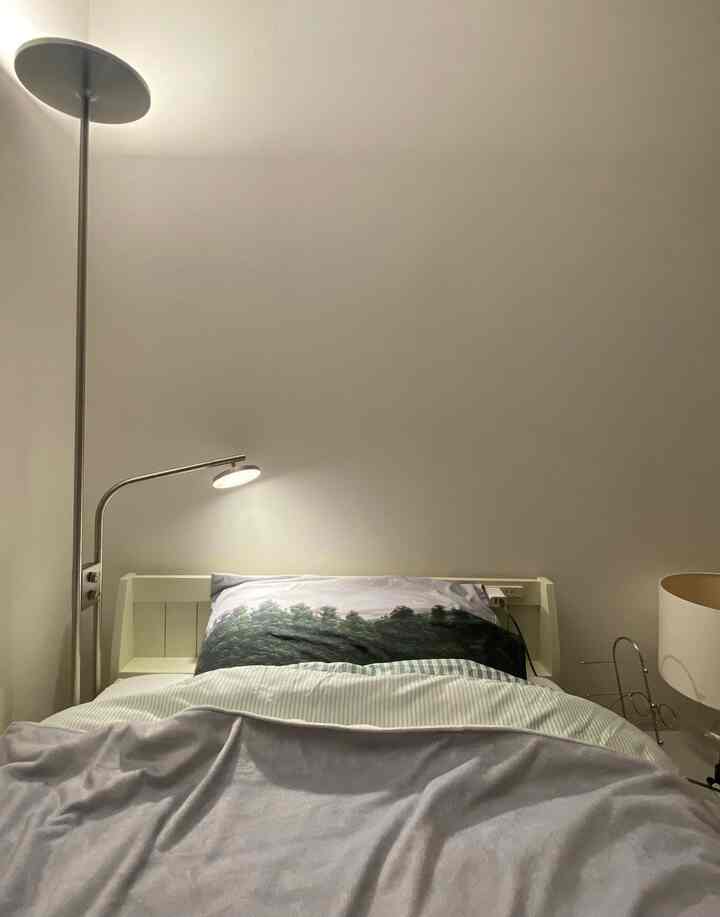 目からも癒される森のベッド🌲
優しい灯りで部屋を照らしてくれるIKEAのISJAKT🛋️
わたしの癒しのベッドスペースです✴︎

#ikea #フロアランプ 
#ベッドコーディネート #ベッドルーム
