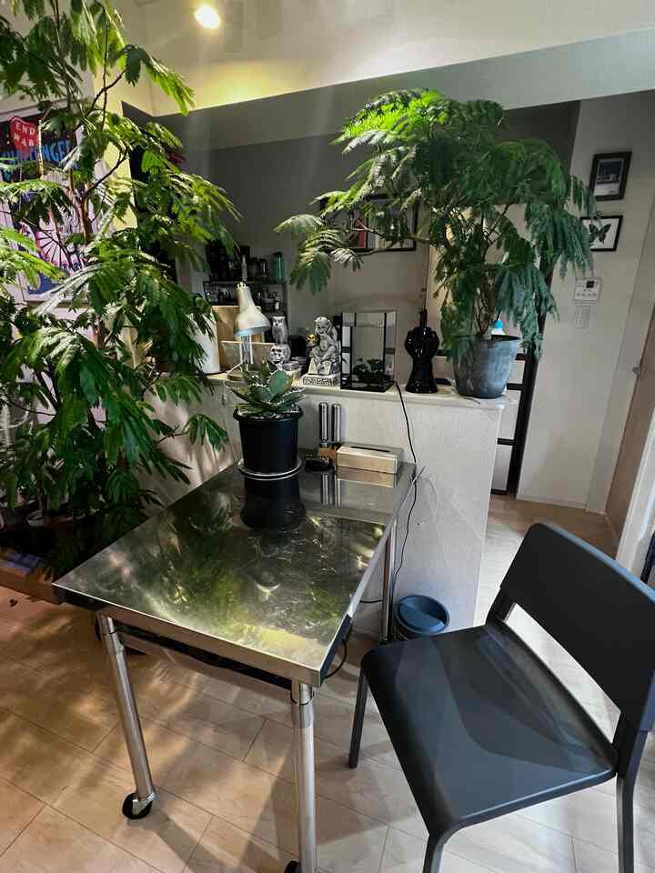 IKEAのイスを追加しました🕊️グレーは無機質なインテリアと相性がいい。

#IKEA
#IKEA購入品
#無機質インテリア
