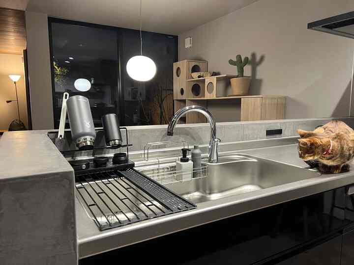 グレーと黒のシンプルモダンなキッチン、シンクのカウンターに猫が座り、右側にキャットタワーが置かれた雰囲気のあるインテリア